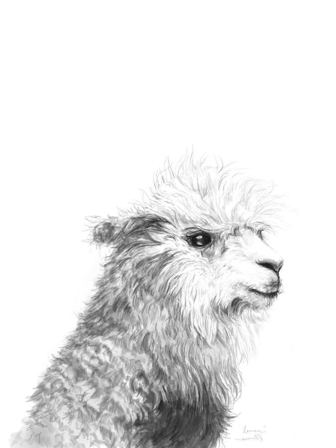 Llama Drawing - Lauren by Kristin Llamas