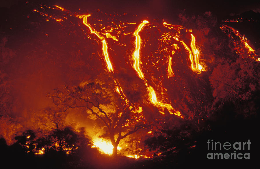 Hawaii Volcanoes National Park Photograph - Lava Burns Trees by Peter French - Printscapes