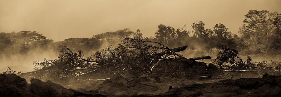 Pele Photograph - Lava Devastation  by Craig Watanabe