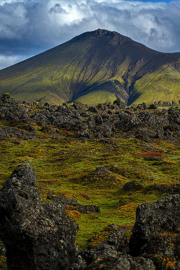 Lava Field and Mountain - Iceland Photograph by Stuart Litoff