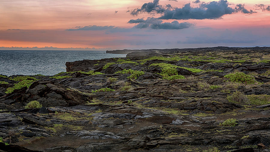 Lava Fields at Sunset Photograph by Susan Rissi Tregoning