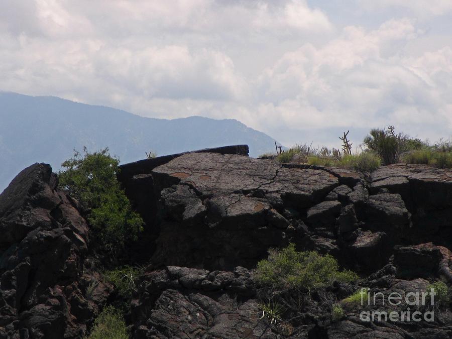 Lava Fields in New Mexico Photograph by John Malone - Fine Art America