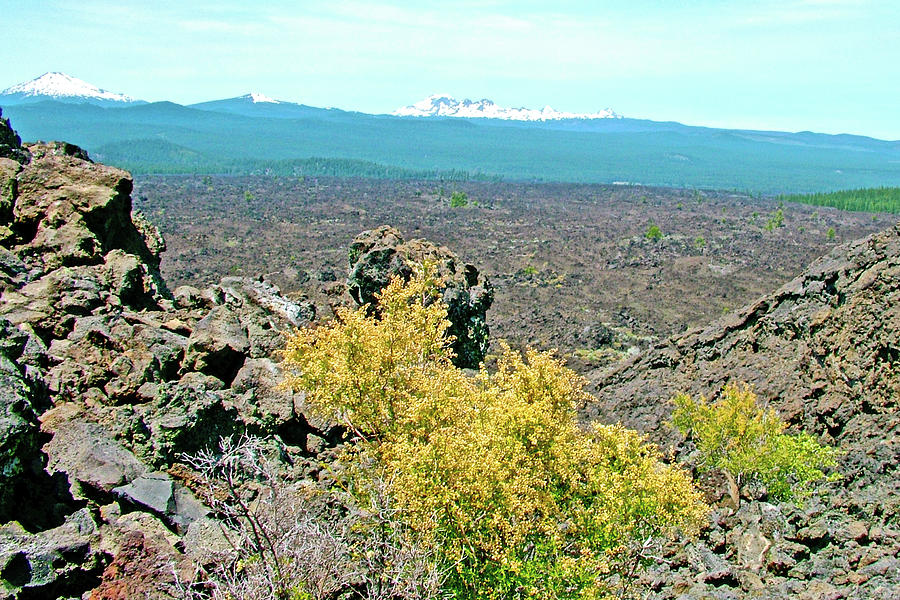 Lava Floe West of Trail of Molten Land in Newberry National Volcanic Monument, Oregon Photograph by Ruth Hager