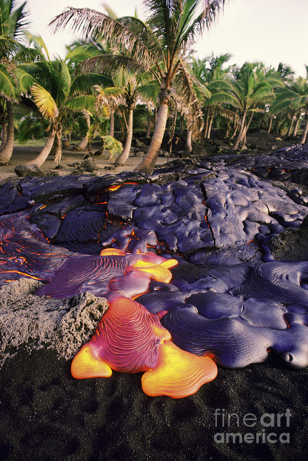 Lava Flow and Palms Photograph by Ron Dahlquist - Printscapes