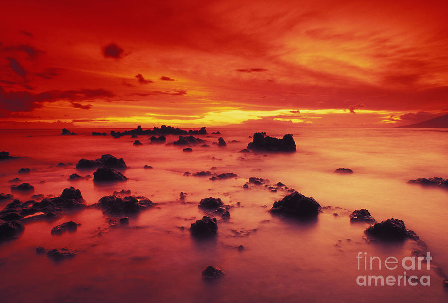 Lava Rock Beach Photograph by Dave Fleetham - Printscapes