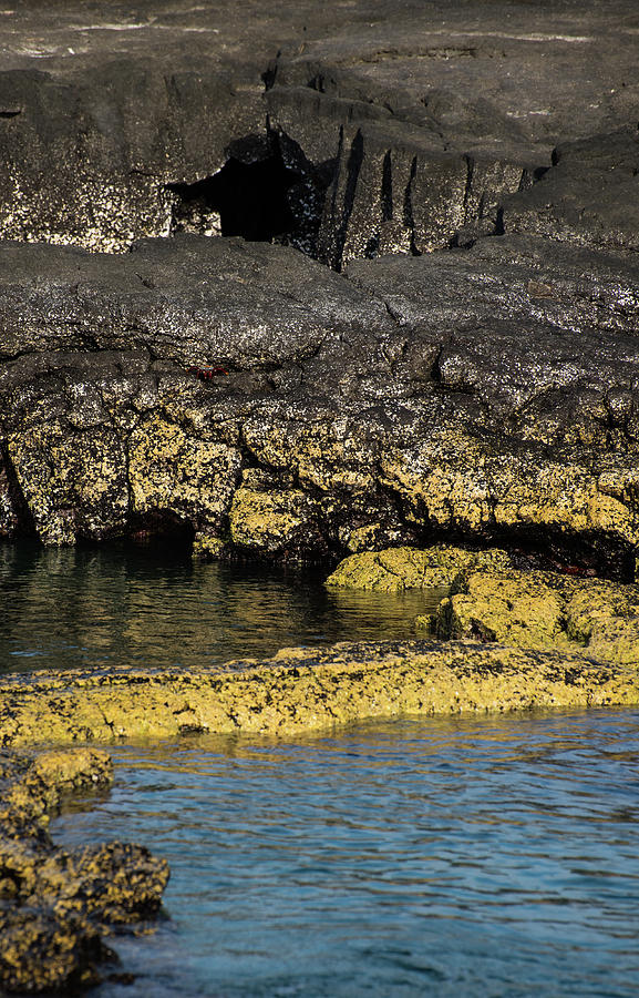 Landscape Photograph - Lava Tubes Puerto Egas by Bob Jensen