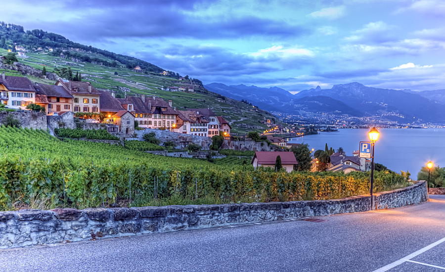 Lavaux region, Vaud, HDR Photograph by Elenarts - Elena Duvernay photo