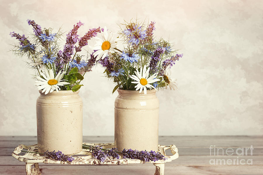 Still Life Photograph - Lavender And Daisies by Amanda Elwell