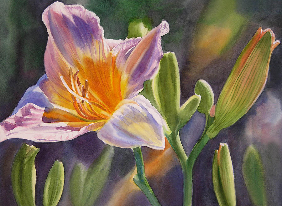 Lily Painting - Lavender and Gold Lily by Sharon Freeman
