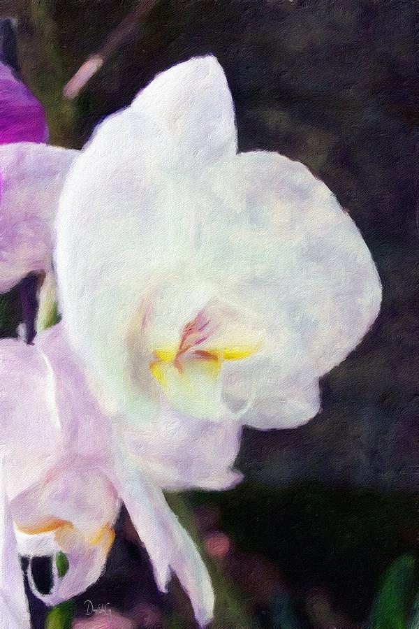 Lavender and White Orchids Photograph by Diane Lindon Coy