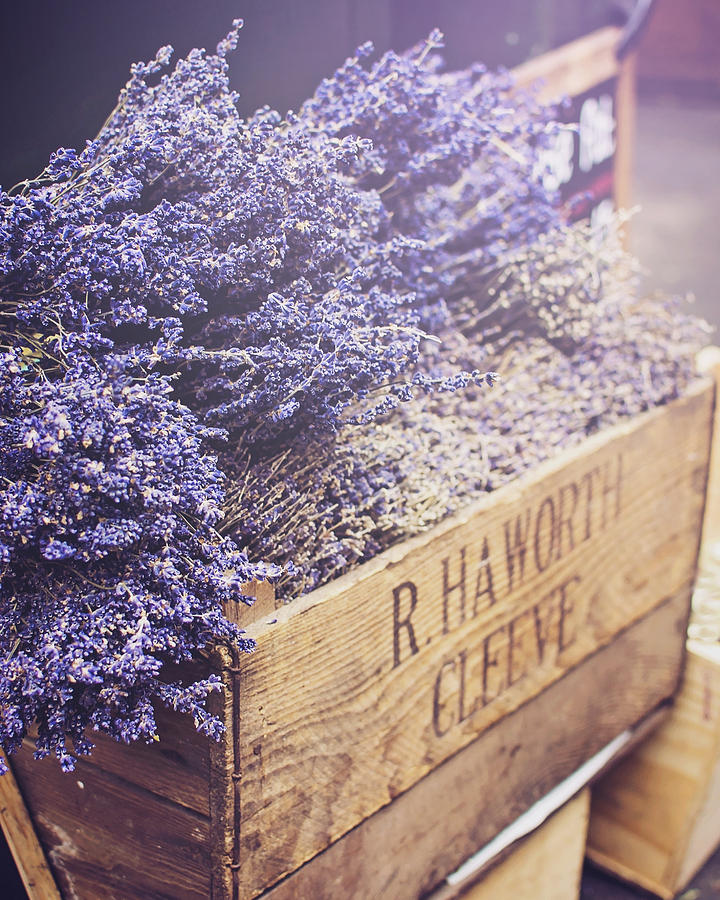 Lavender at Borough Market Photograph by Heather Applegate