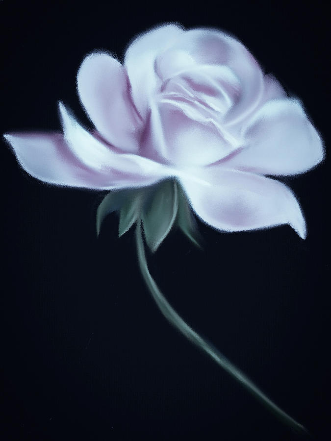 Lavender Beauty Rose Digital Art by Michele Koutris