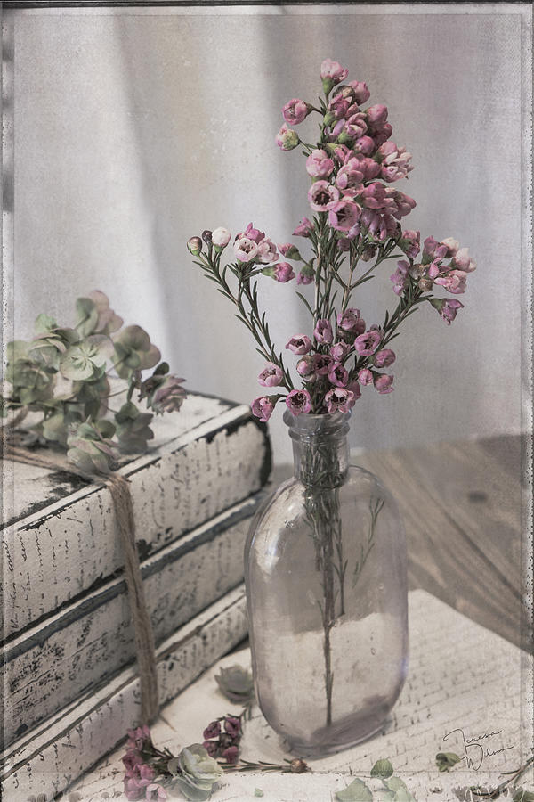 Lavender Bottle with Waxflowers Photograph by Teresa Wilson