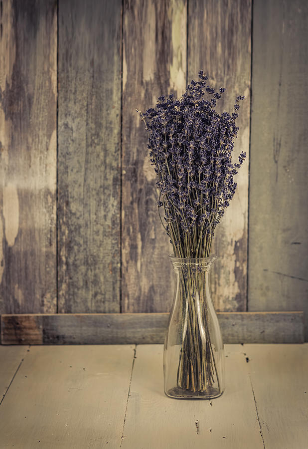 Lavender Bunch Photograph by Kim Hojnacki