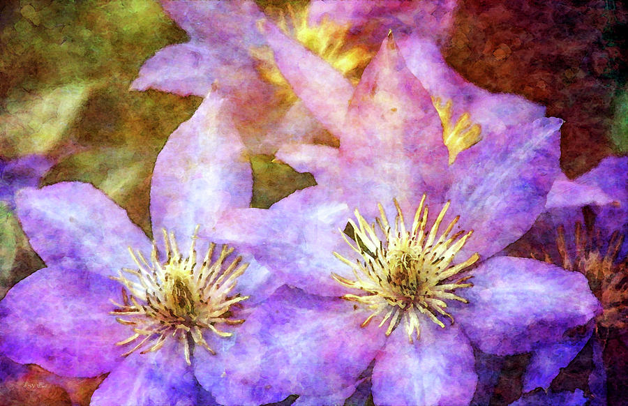 Lavender Clematis 1483 IDP_2 Photograph by Steven Ward