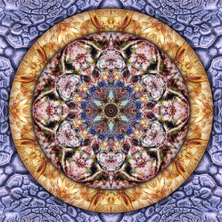 Lavender Dream Digital Art by Becky Titus