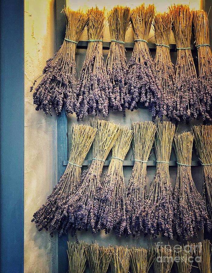 Lavender Drying Photograph by Diana Rajala