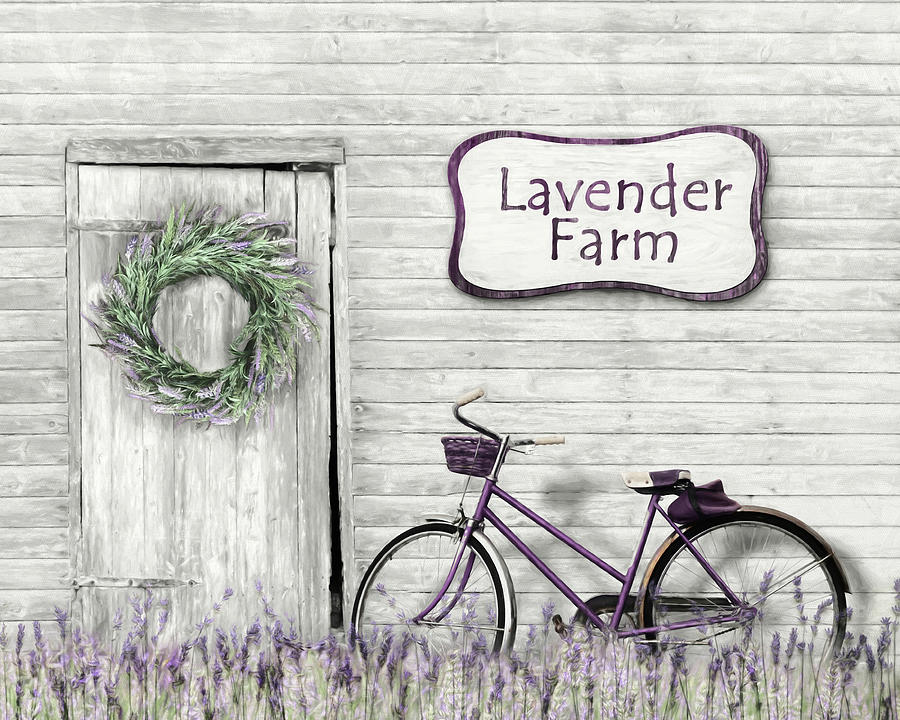 Lavender Farm 2 Photograph by Lori Deiter