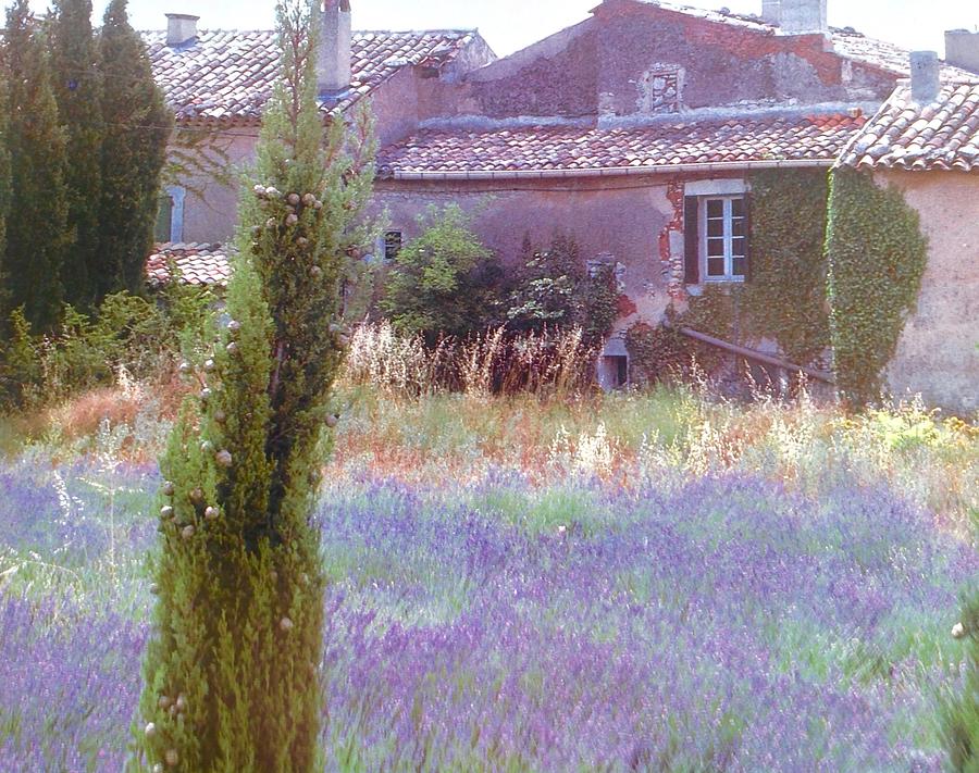 Lavender Field At Provence Farmhouse Photograph