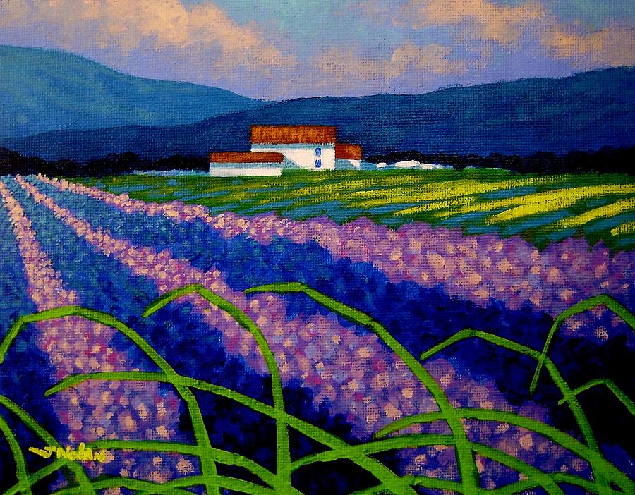 Mountain Painting - Lavender Field France by John  Nolan