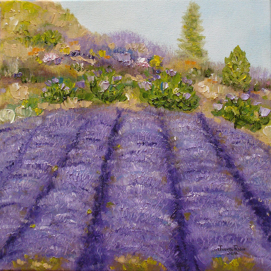 Lavender Field Painting by Judith Rhue