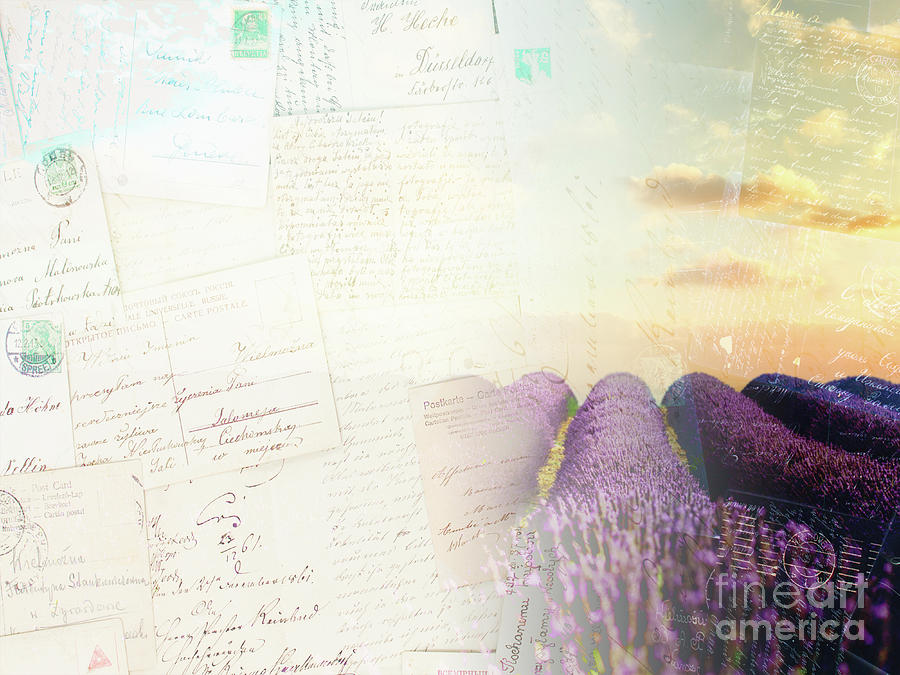 Lavender Field Postcard Digital Art by Anastasy Yarmolovich