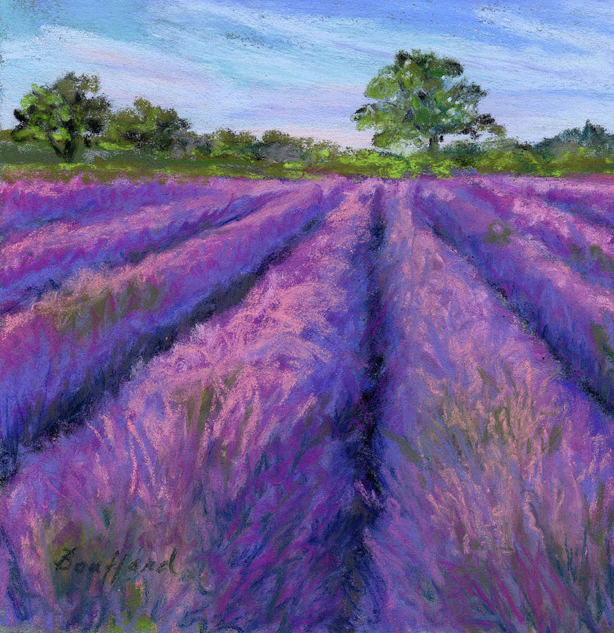 Lavender Field Pastel by Vikki Bouffard