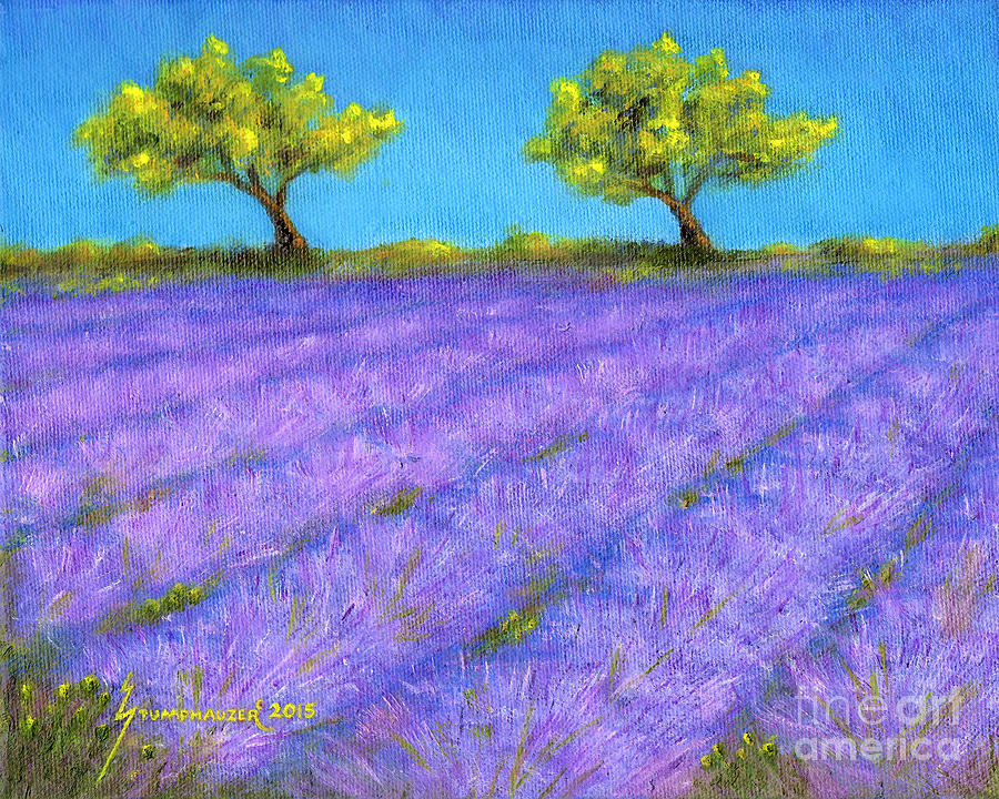 Lavender Field with Twin Oaks Painting by Jerome Stumphauzer