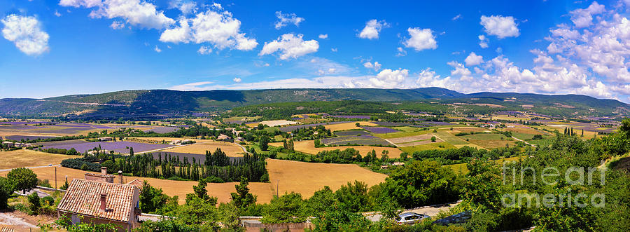 Lavender Fields of Sault France Photograph by Crystal Poteat - Pixels