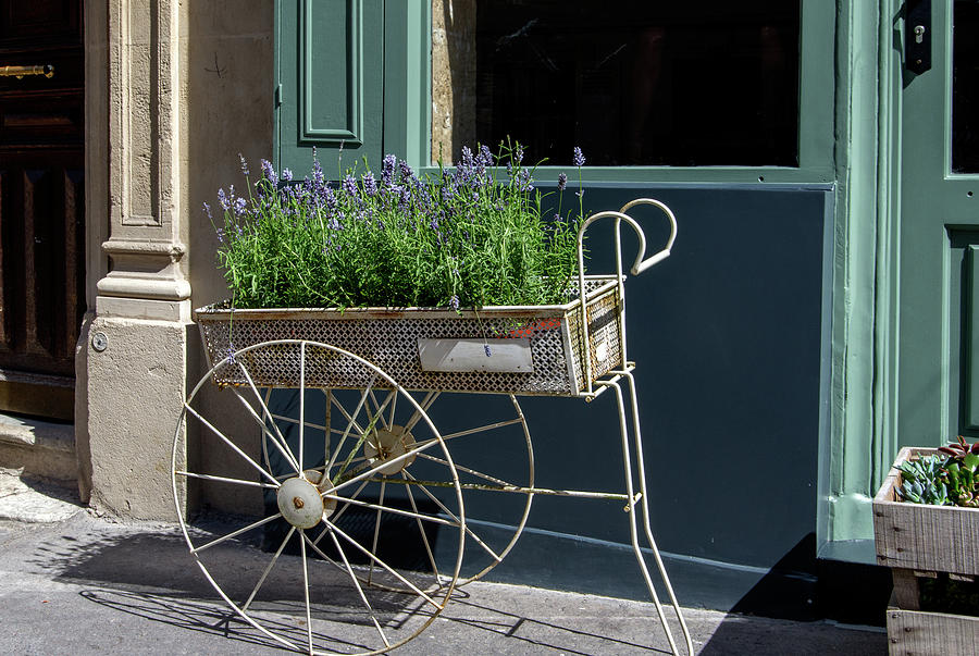 Lavender flower Cart in Montmarte Paris Digital Art by Carol Ailles