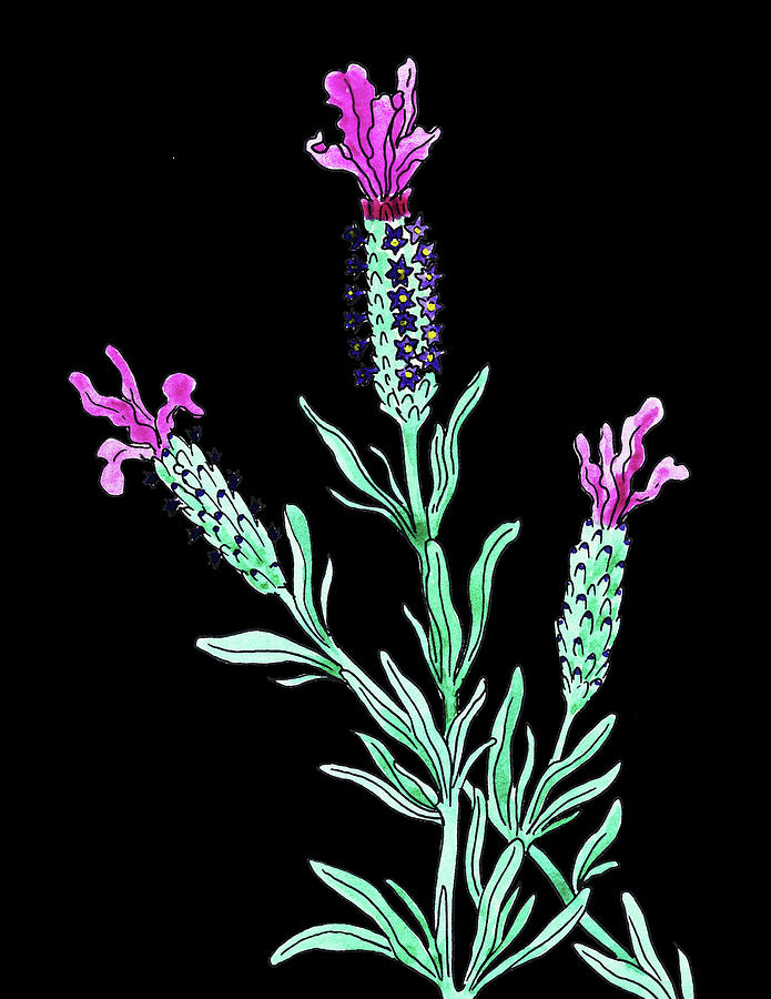 Lavender Flowers Watercolour Painting by Irina Sztukowski