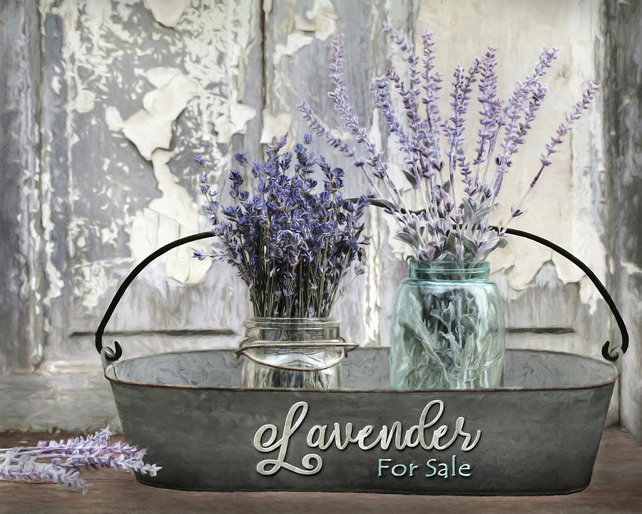 Lavender for Sale 2 Photograph by Lori Deiter