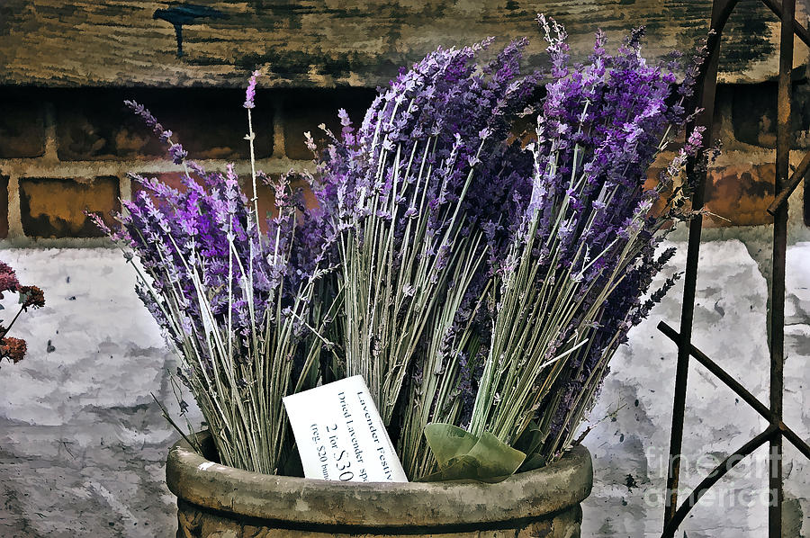 Lavender for Sale Painting by Elaine Manley