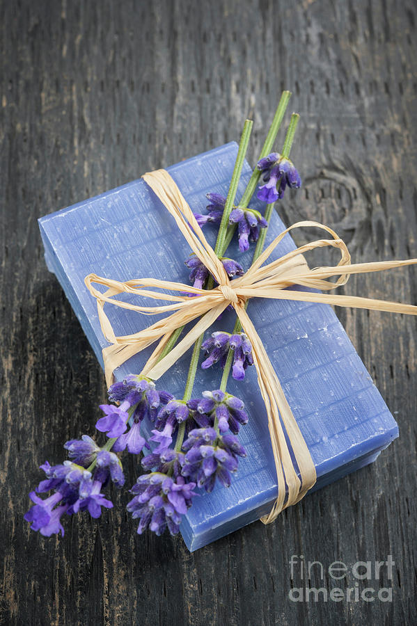 Lavender handmade soap Photograph by Elena Elisseeva