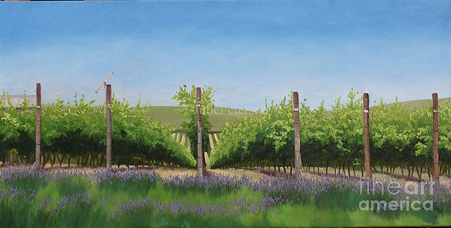Lavender in the Vineyard Painting by Julie Peterson