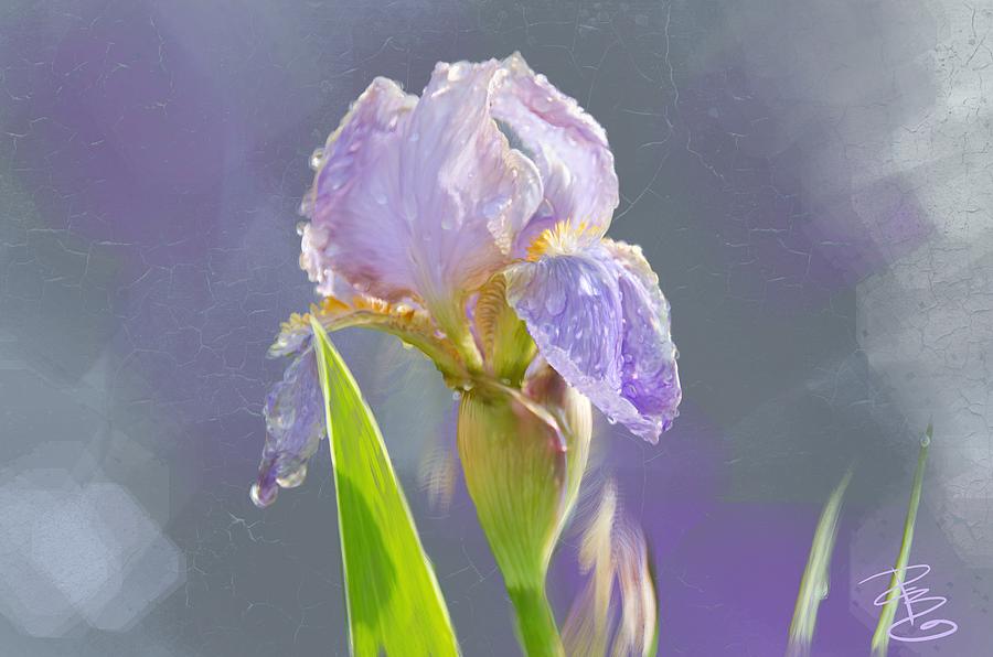 Lavender iris in the morning sun Digital Art by Debra Baldwin