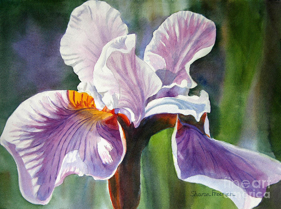 Lavender Iris with Colorful Background Painting by Sharon Freeman