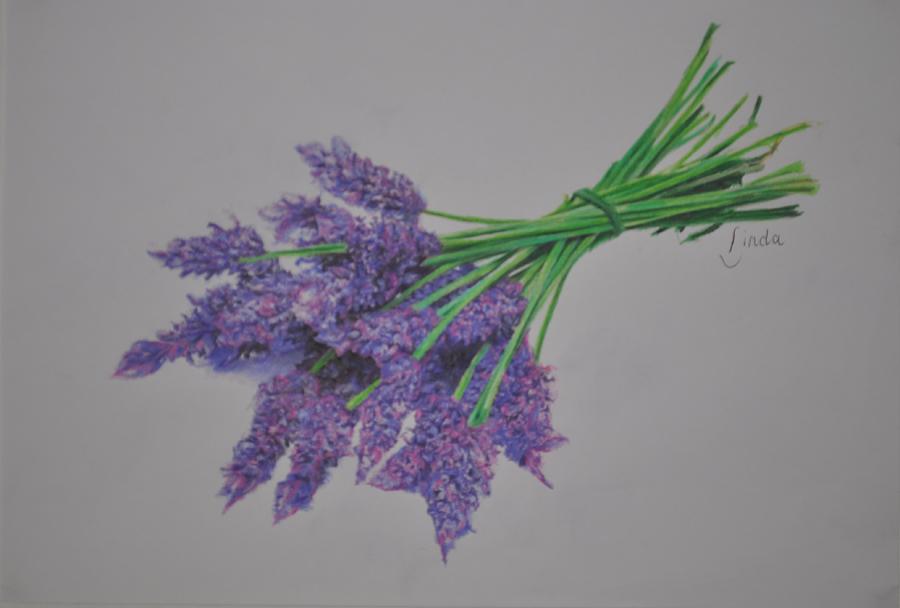 Lavender Pastel by Linda Ferreira - Fine Art America