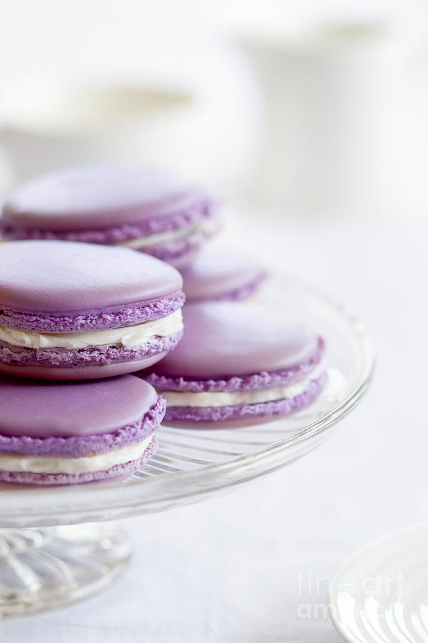 Lavender macarons Photograph by Ruth Black