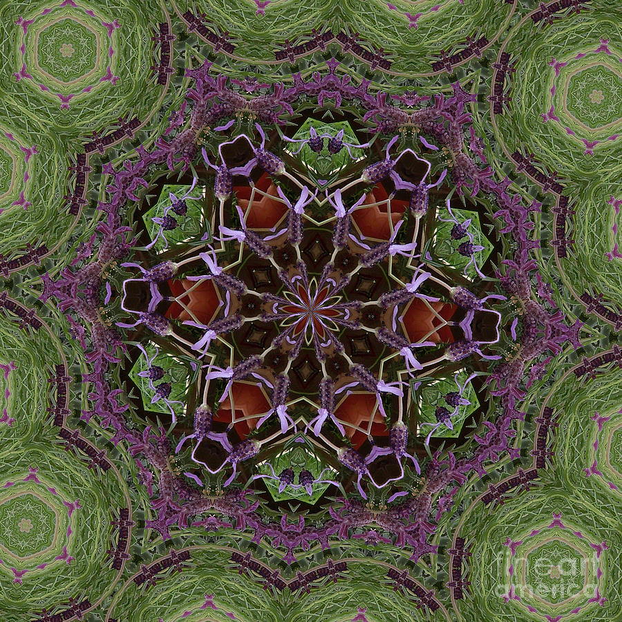 Lavender Mandala 2 Digital Art by Julia Underwood