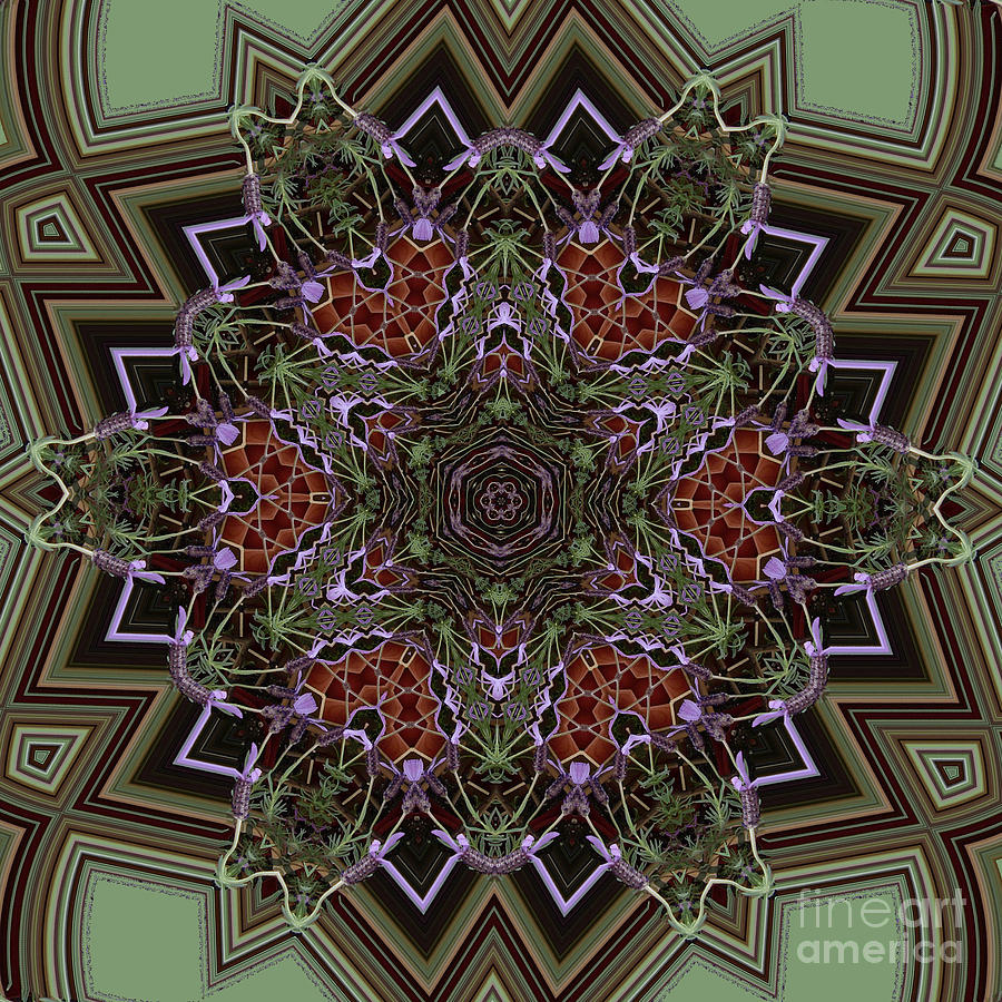Lavender Mandala Digital Art by Julia Underwood
