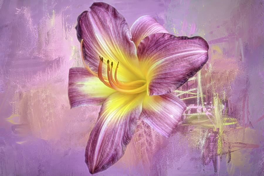 Lily Photograph - Lavender Mish Mash by Donna Kennedy