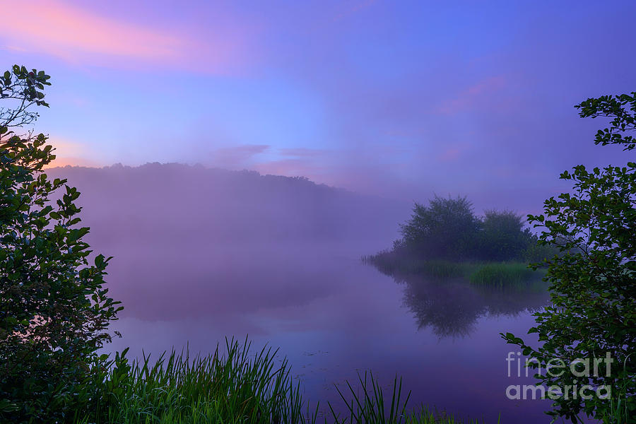 Lavender Mist Summer Morning  Photograph by Thomas R Fletcher