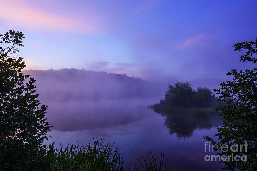 Lavender Mist Photograph by Thomas R Fletcher