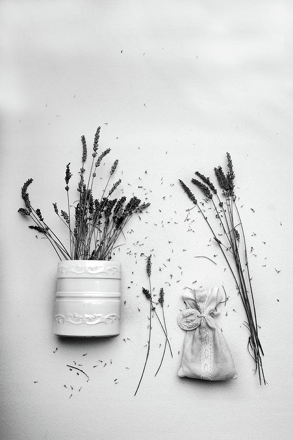 Flower Photograph - Lavender Mood by Randi Grace Nilsberg