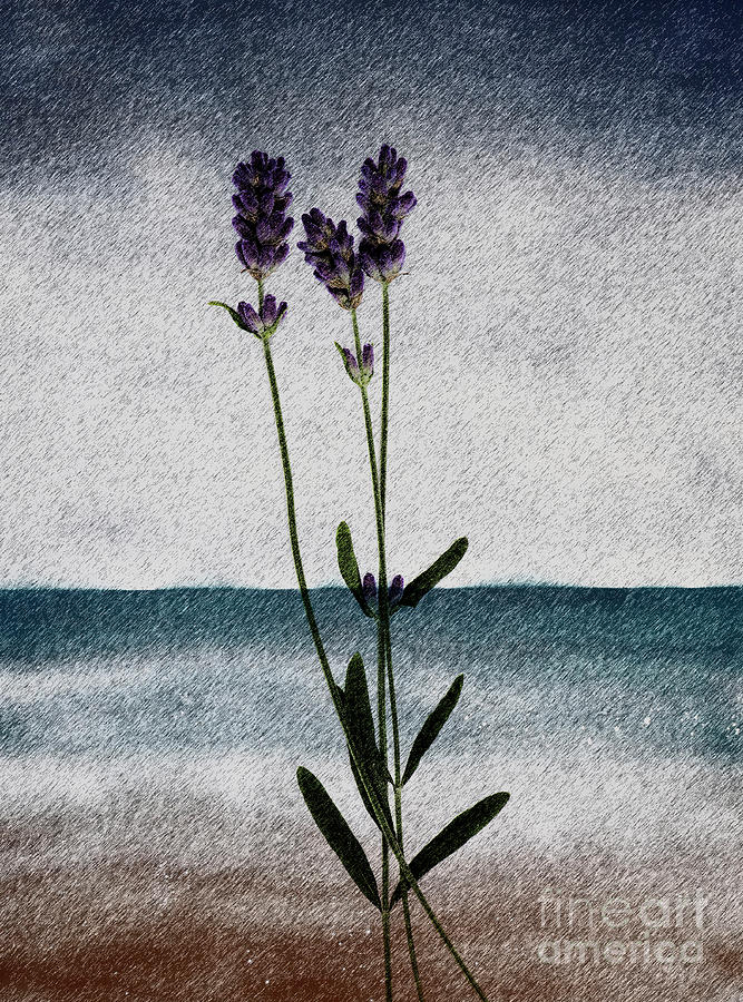Lavender Ocean Breath Painting by Shelley Myers