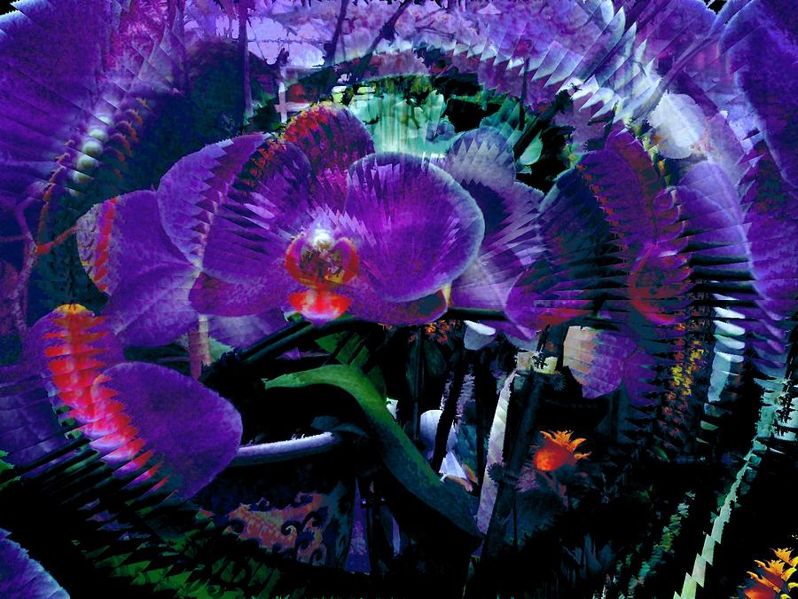 Lavender Orchid Digital Art by Don Wright