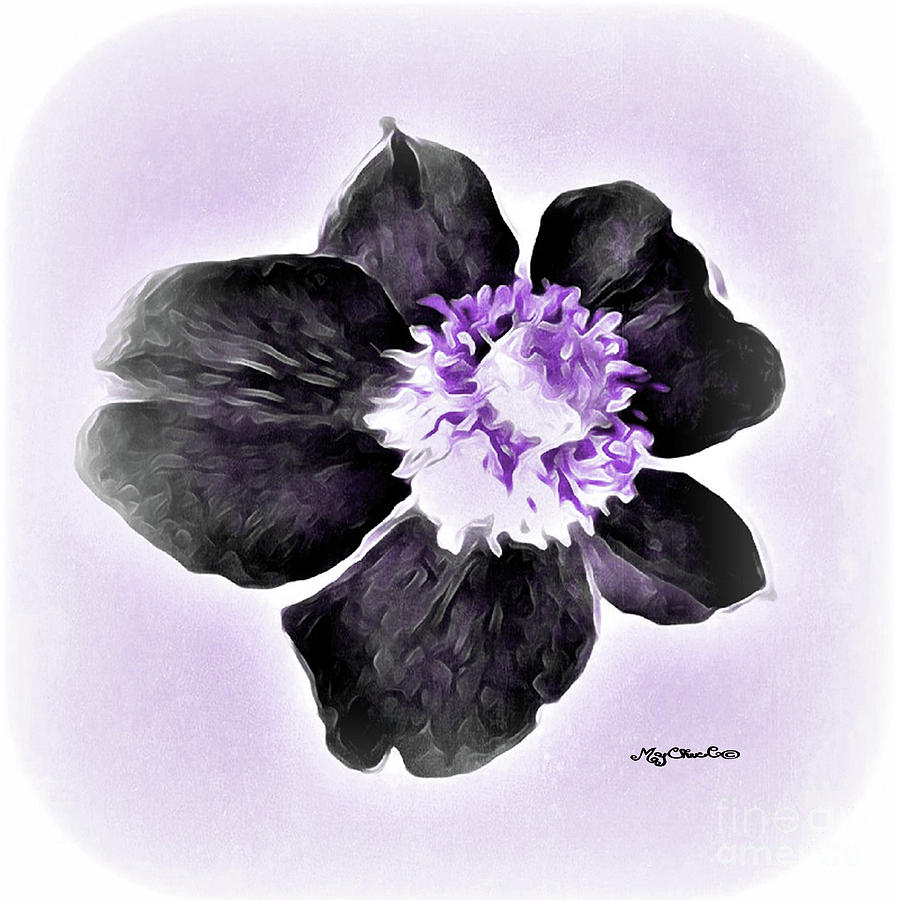 Lavender Purple Flower Power Photograph