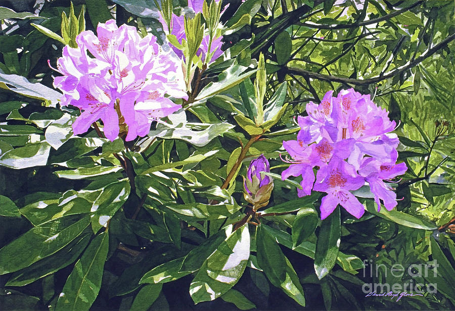 Lavender Rhododendrons Painting by David Lloyd Glover