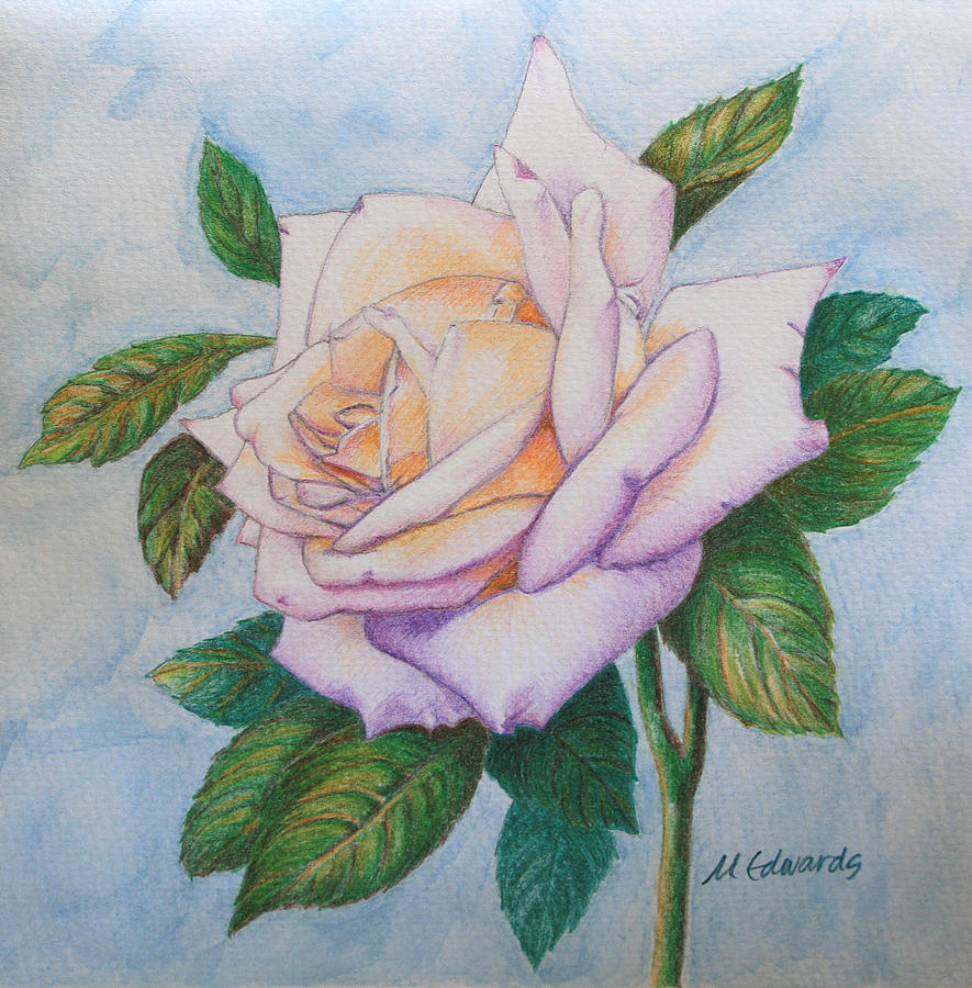 Lavender Rose Drawing by Marna Edwards Flavell